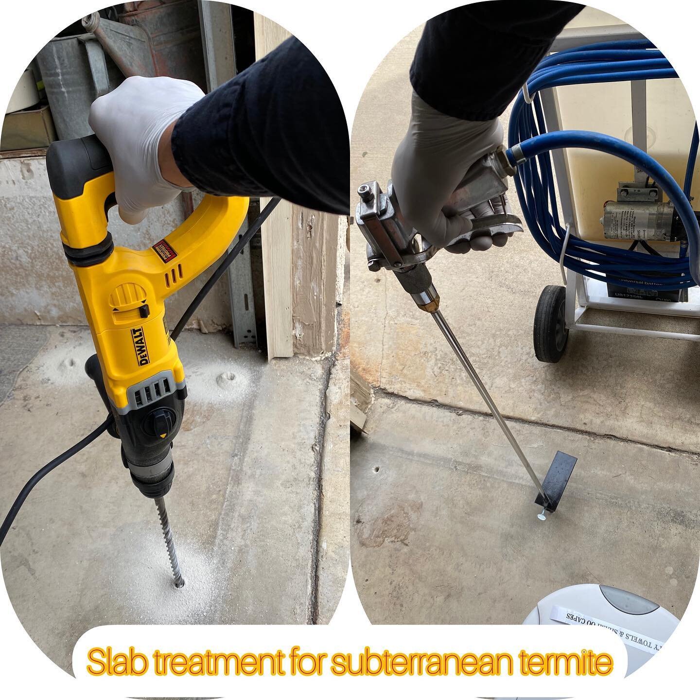 Slab treatment for subterranean termite by Y&rsquo;s Pest Control #termite #pestcontrol #slabtreatment #subterranean