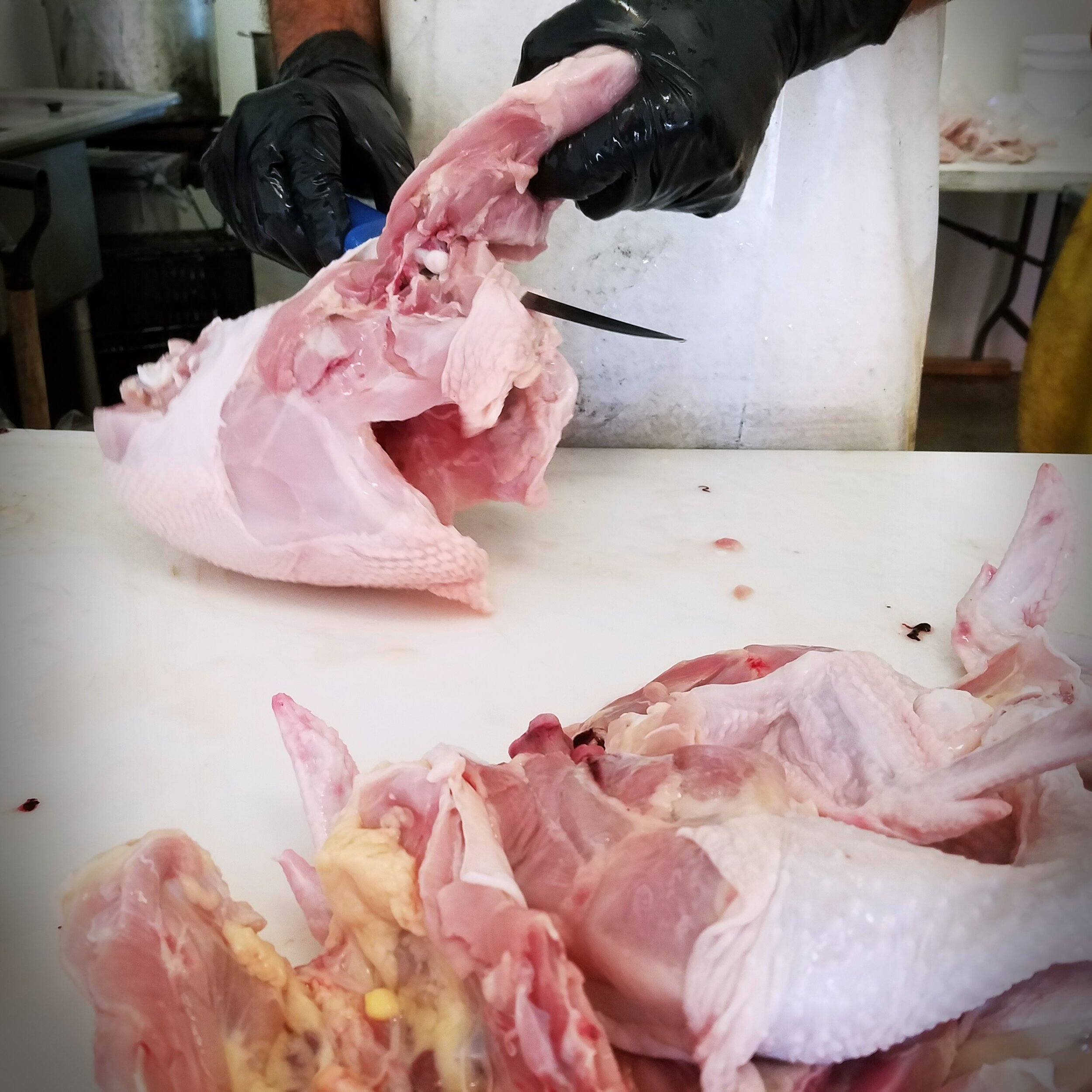 07.19 chicken processing.jpg