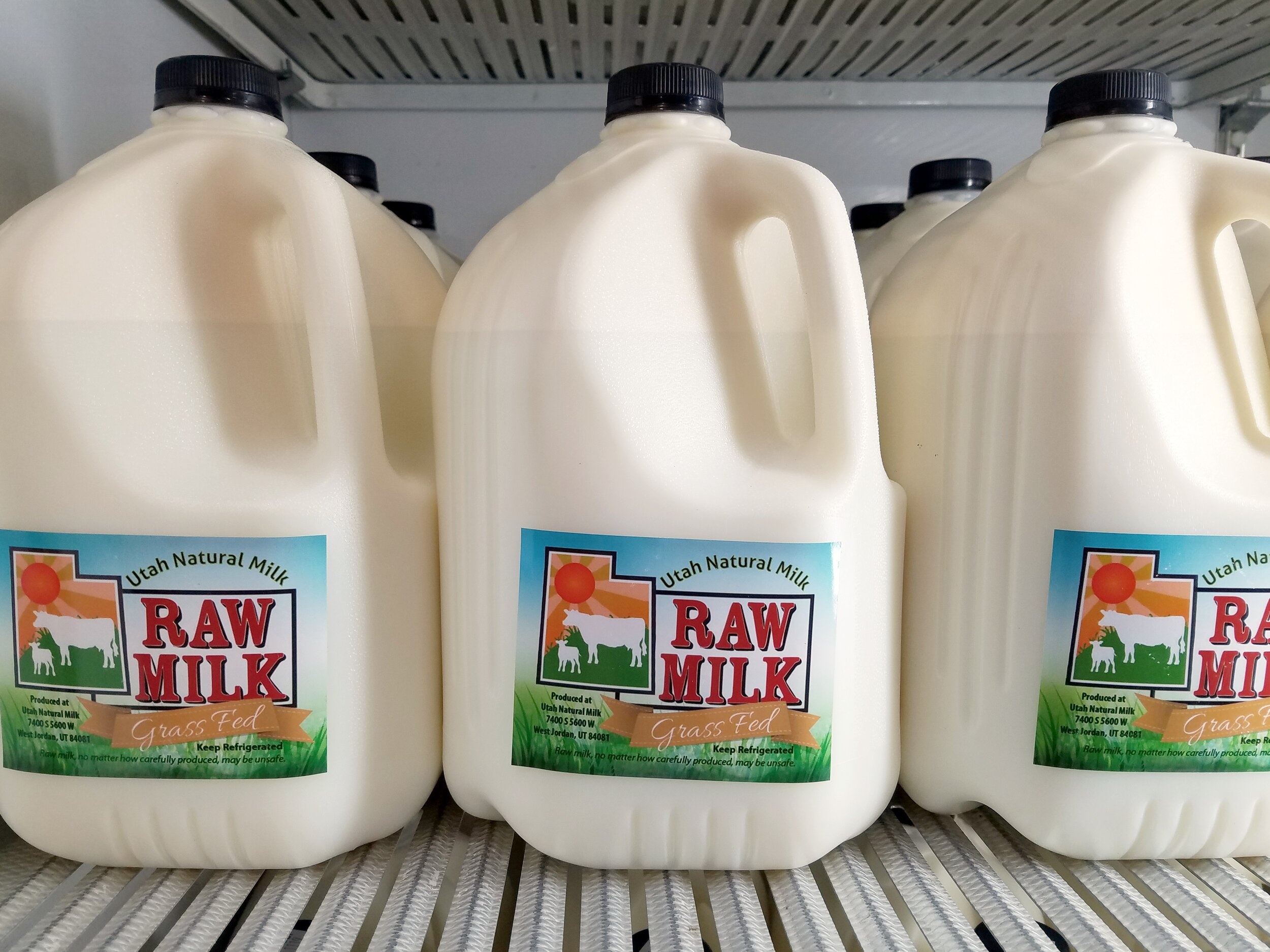 Grass Fed Organic Jersey Milk