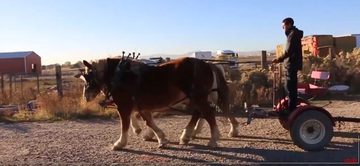 "Utah's Natural Meat" - Utah Stories