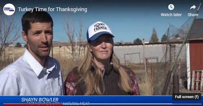 "Turkey Time for Thanksgiving" - The Daily Universe