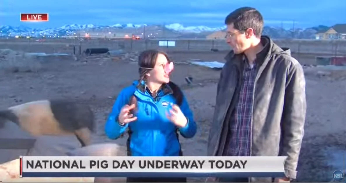 "Celebrating National Pig Day at Utah Natural Meat" - KSL News
