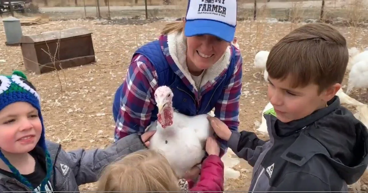 "Turkeys at Utah Natural Meat &amp; Milk" - The Jolley Family &amp; My Farmer App