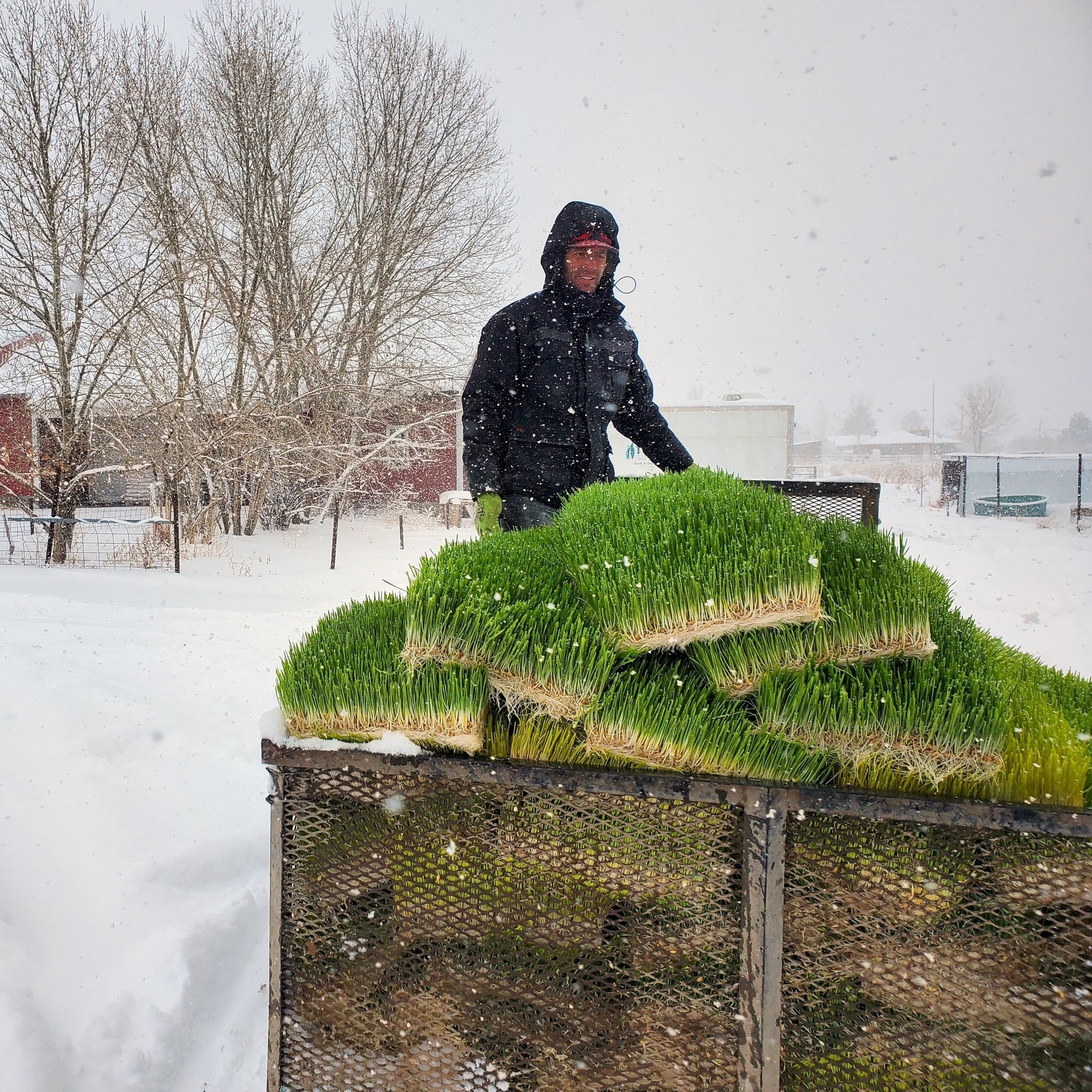 farmhand job at Utah Natural Meat