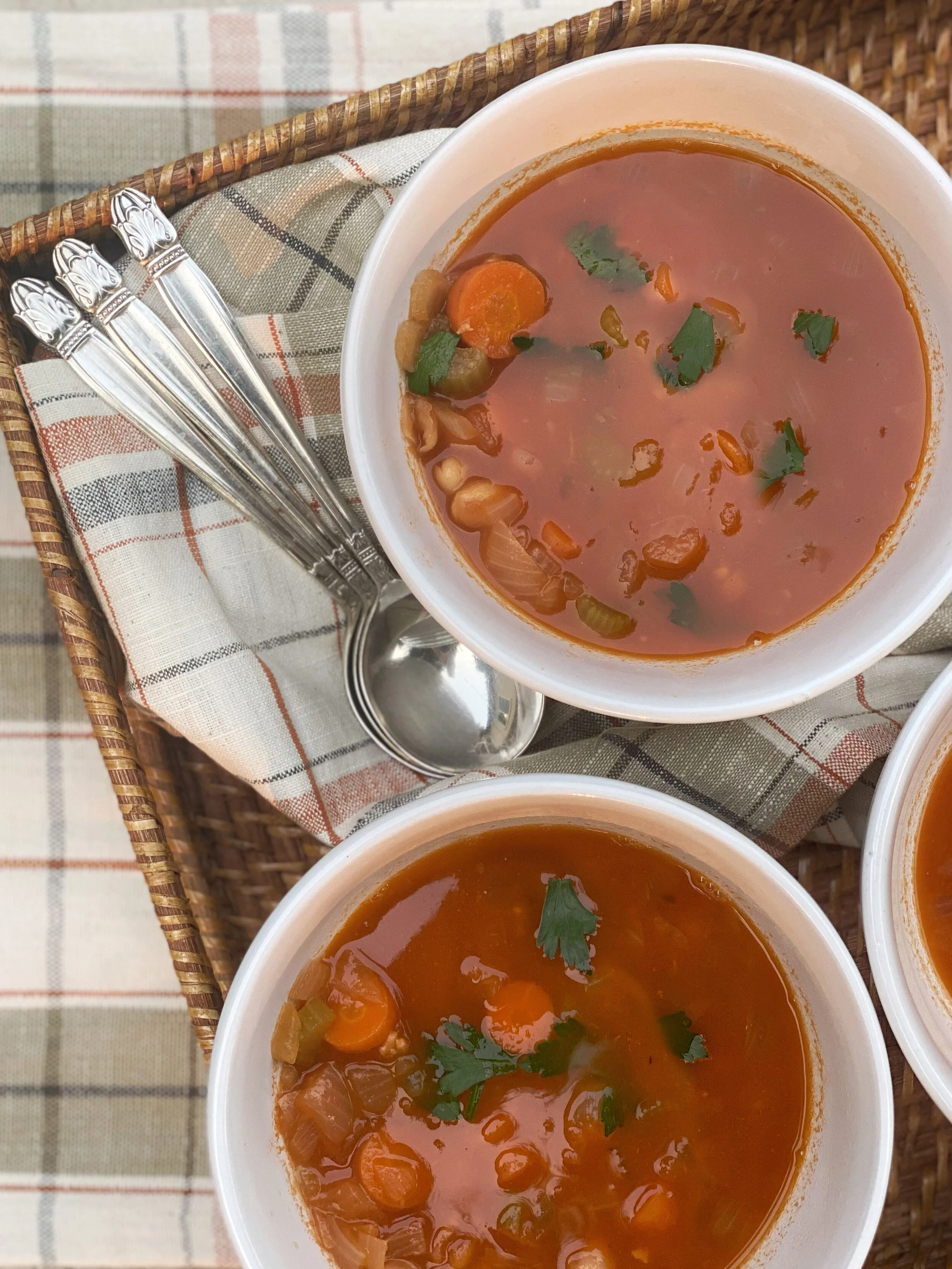 Simple Vegetable Soup