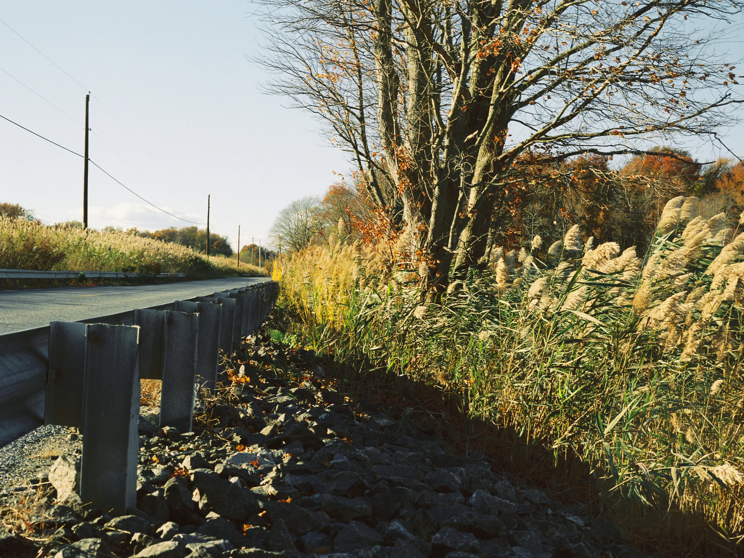 Roadside