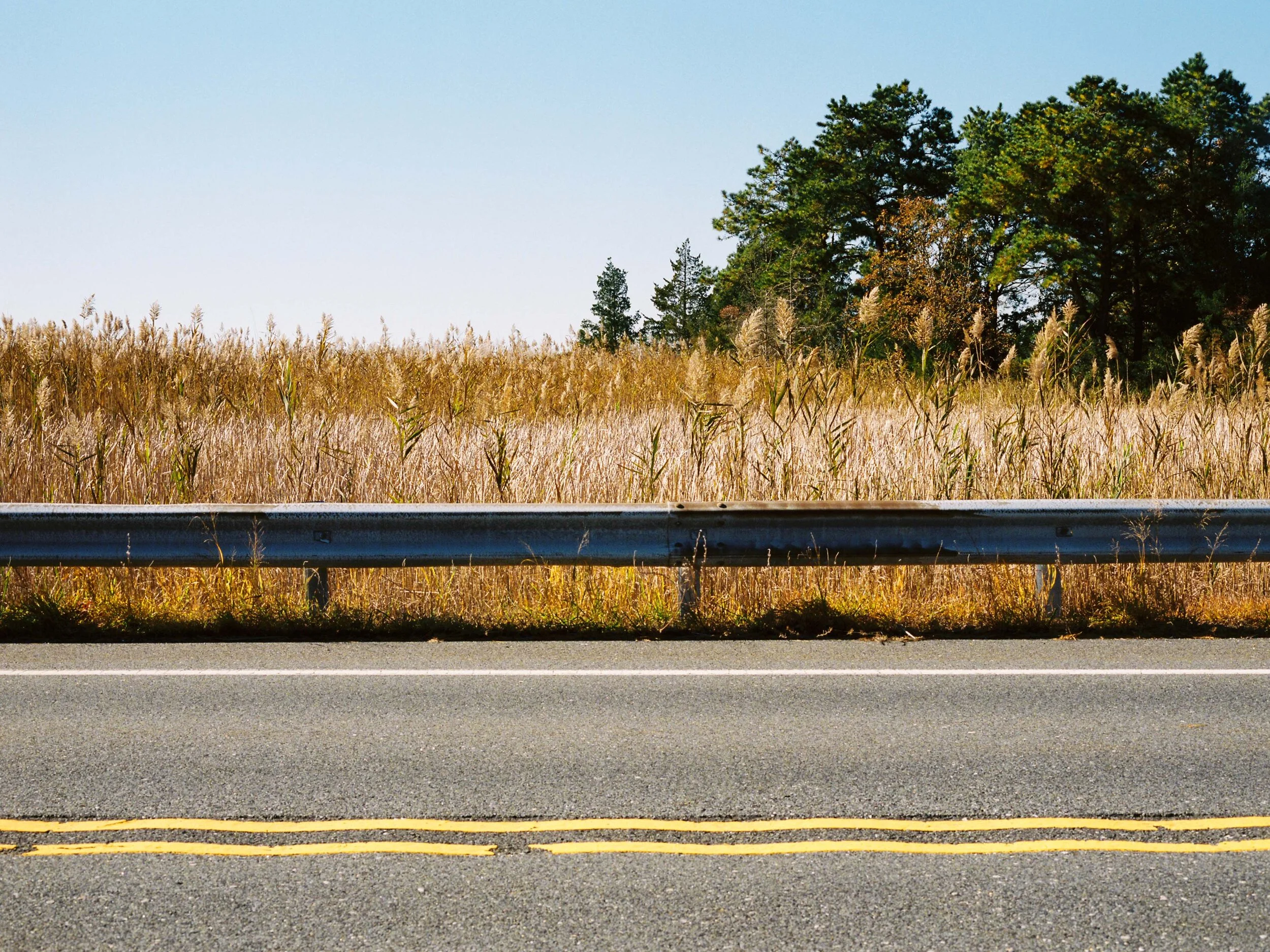 Roadside