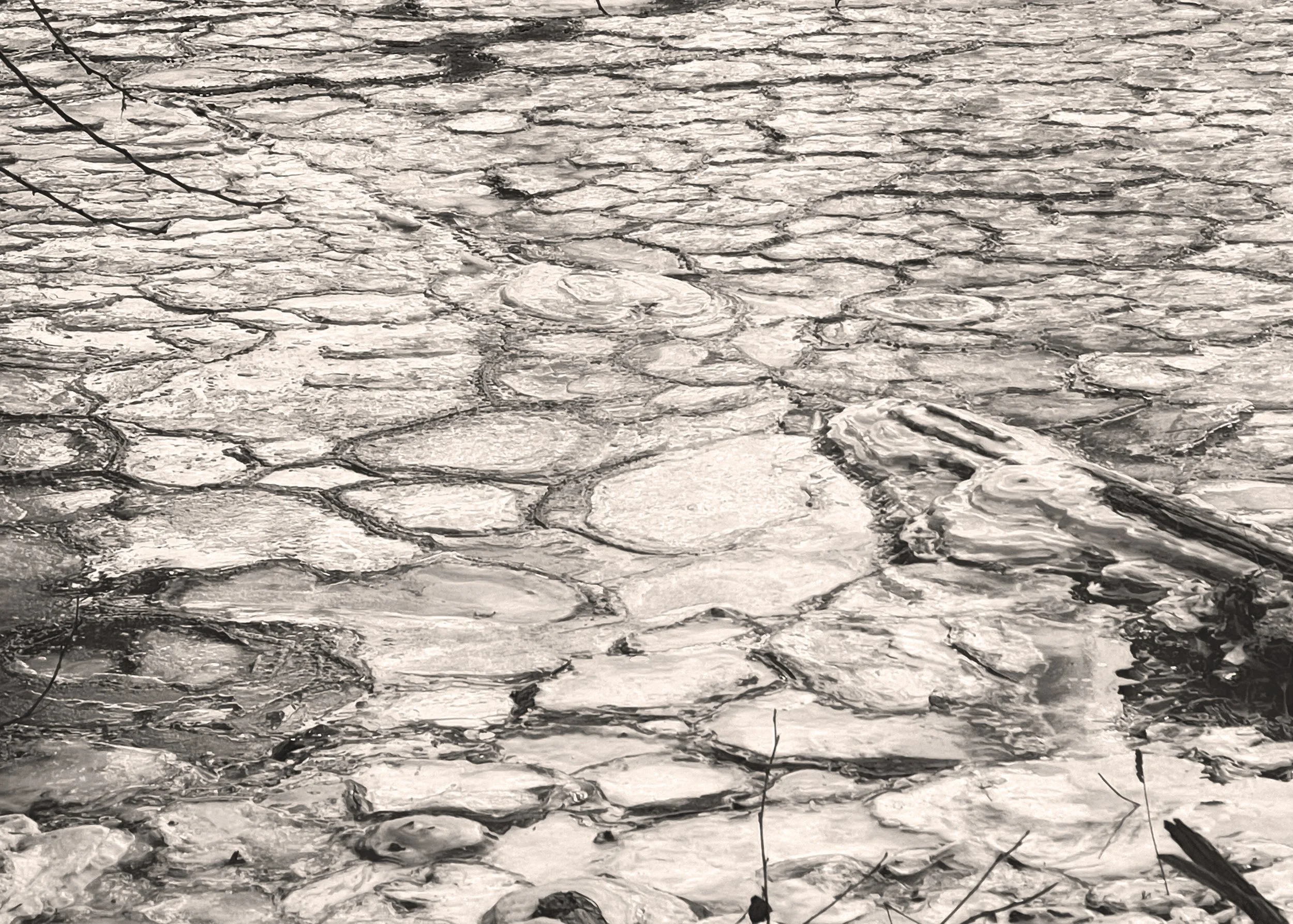 BreakingIce Sepia45.jpg