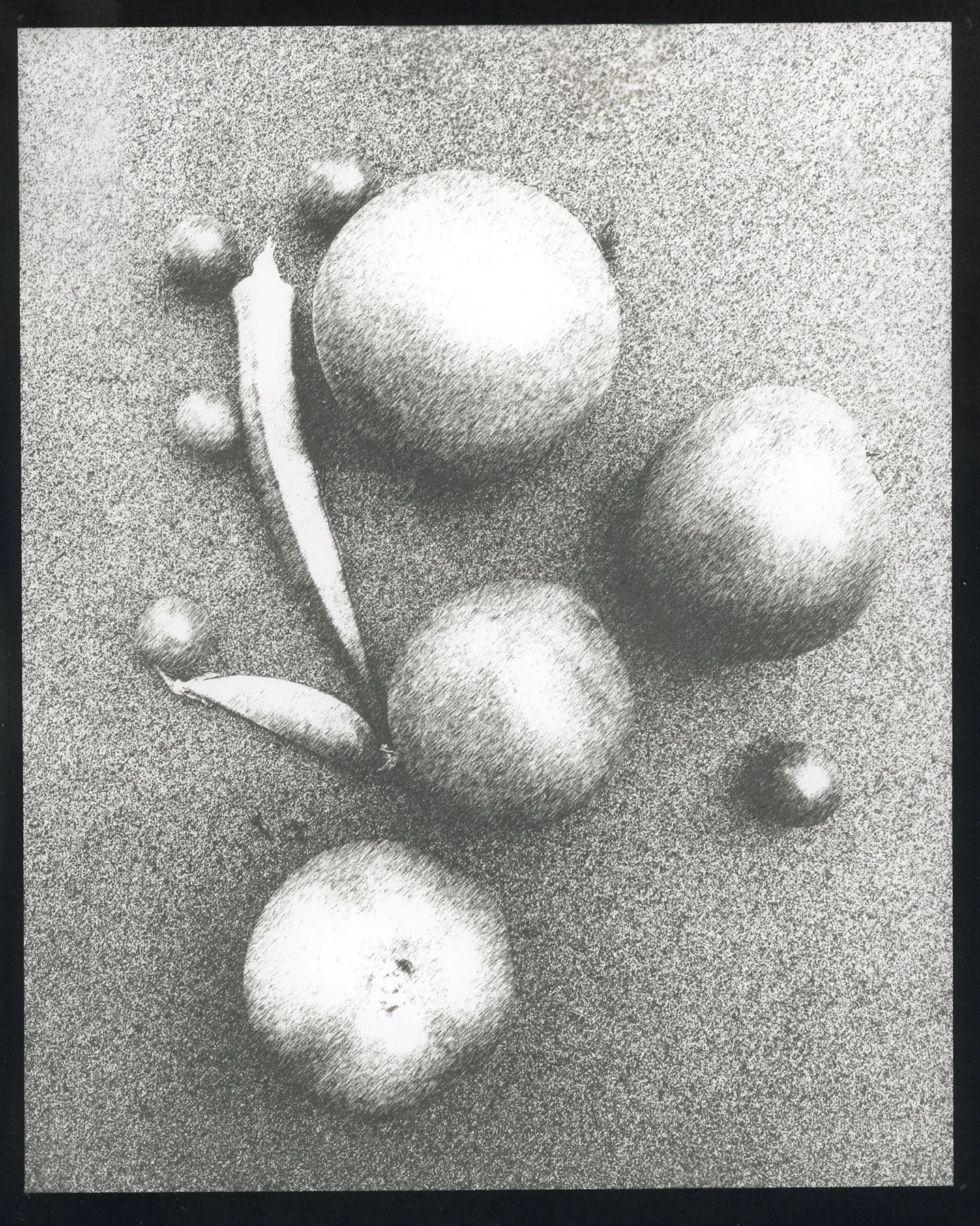 Okra Peas Tomato.jpg