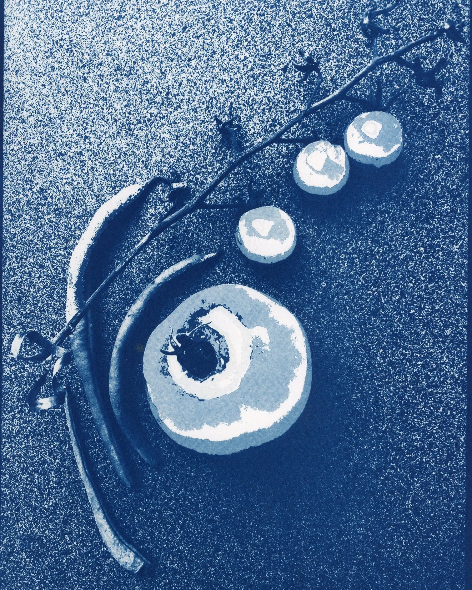 Tomato String Bean.jpg