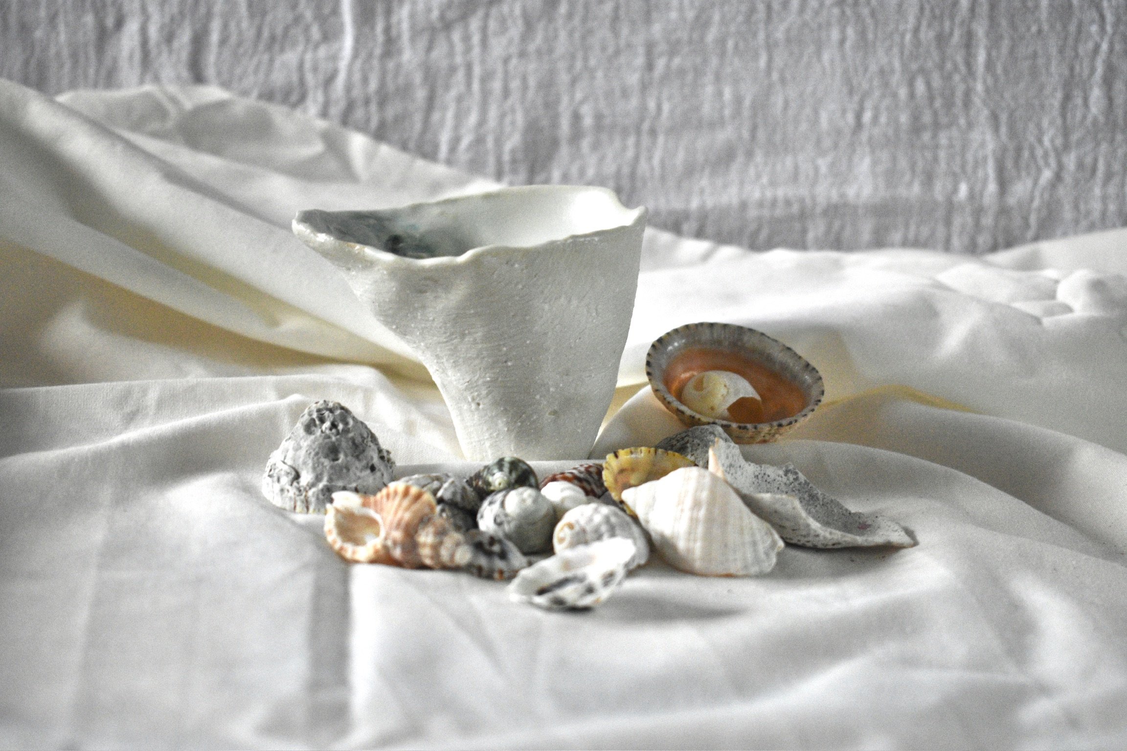 Small shell form, 2025. Thrown and altered stoneware with slip, oxides, and glaze