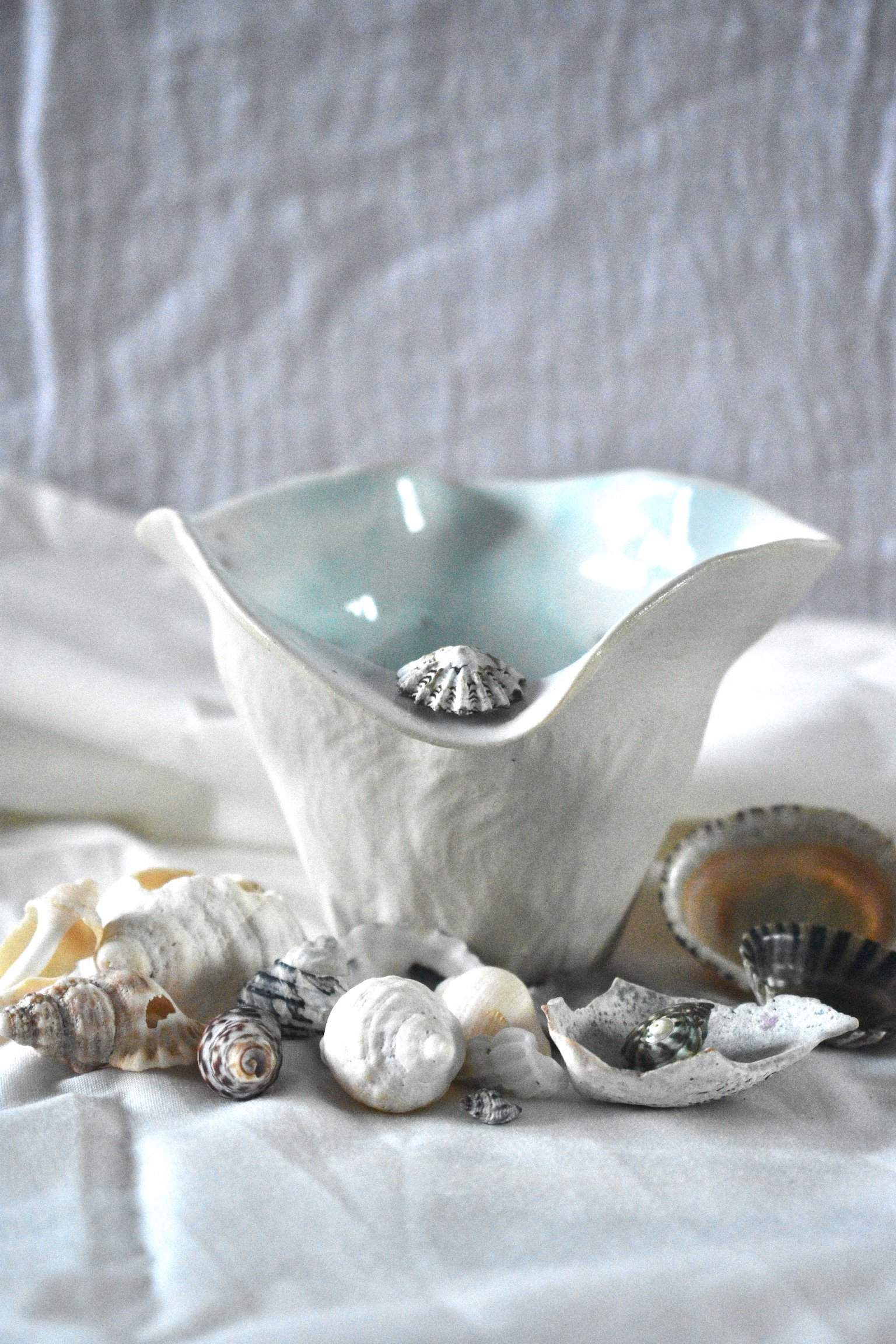 Small shell form, 2025. Thrown and altered stoneware with slip, oxides, and glaze