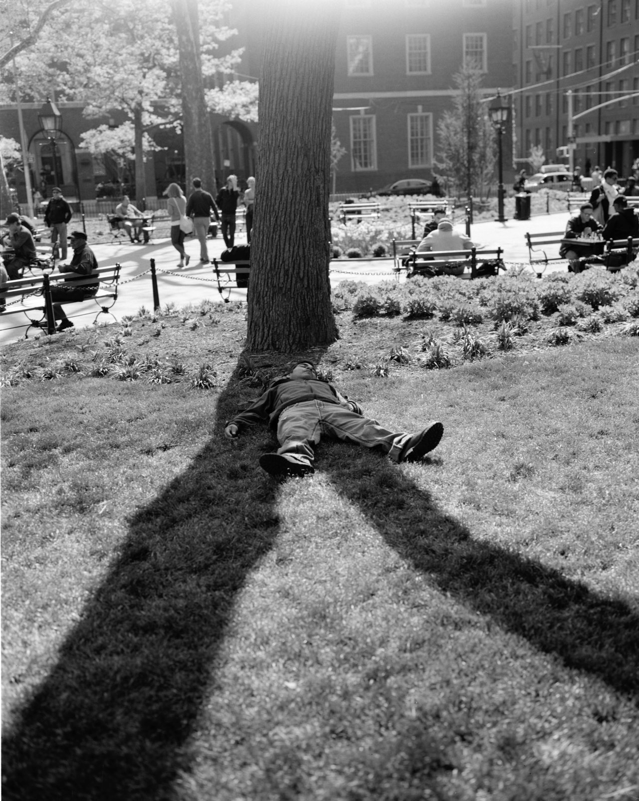  Jackson Krule,  Washington Square Park, 2012  