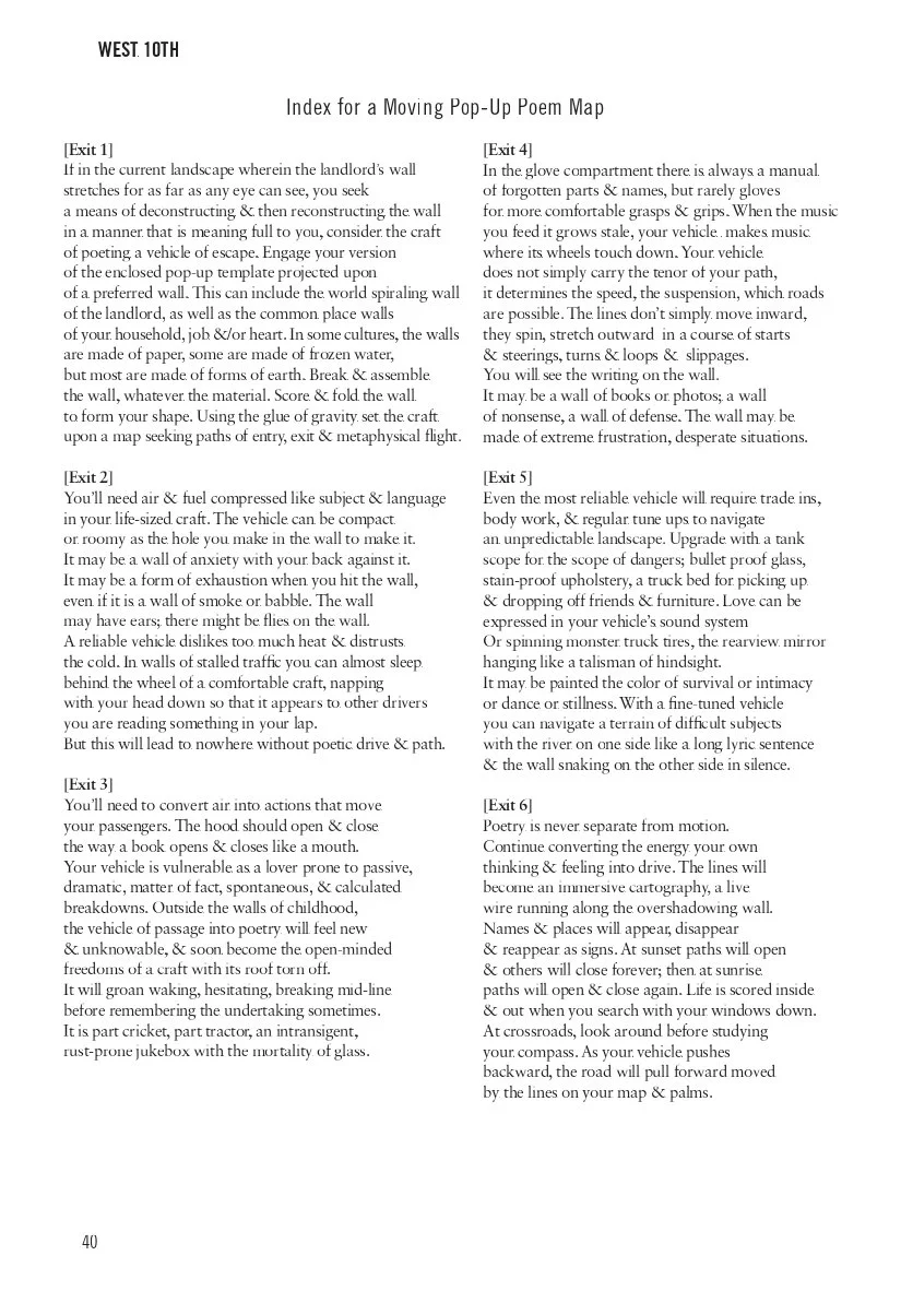 terrance hayes poem_page-0003.jpg