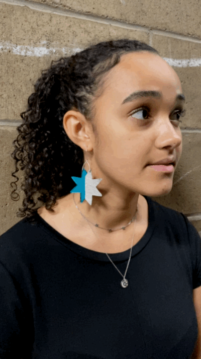 Dear Elaan Camilla Starburst Armor Earrings Lucite