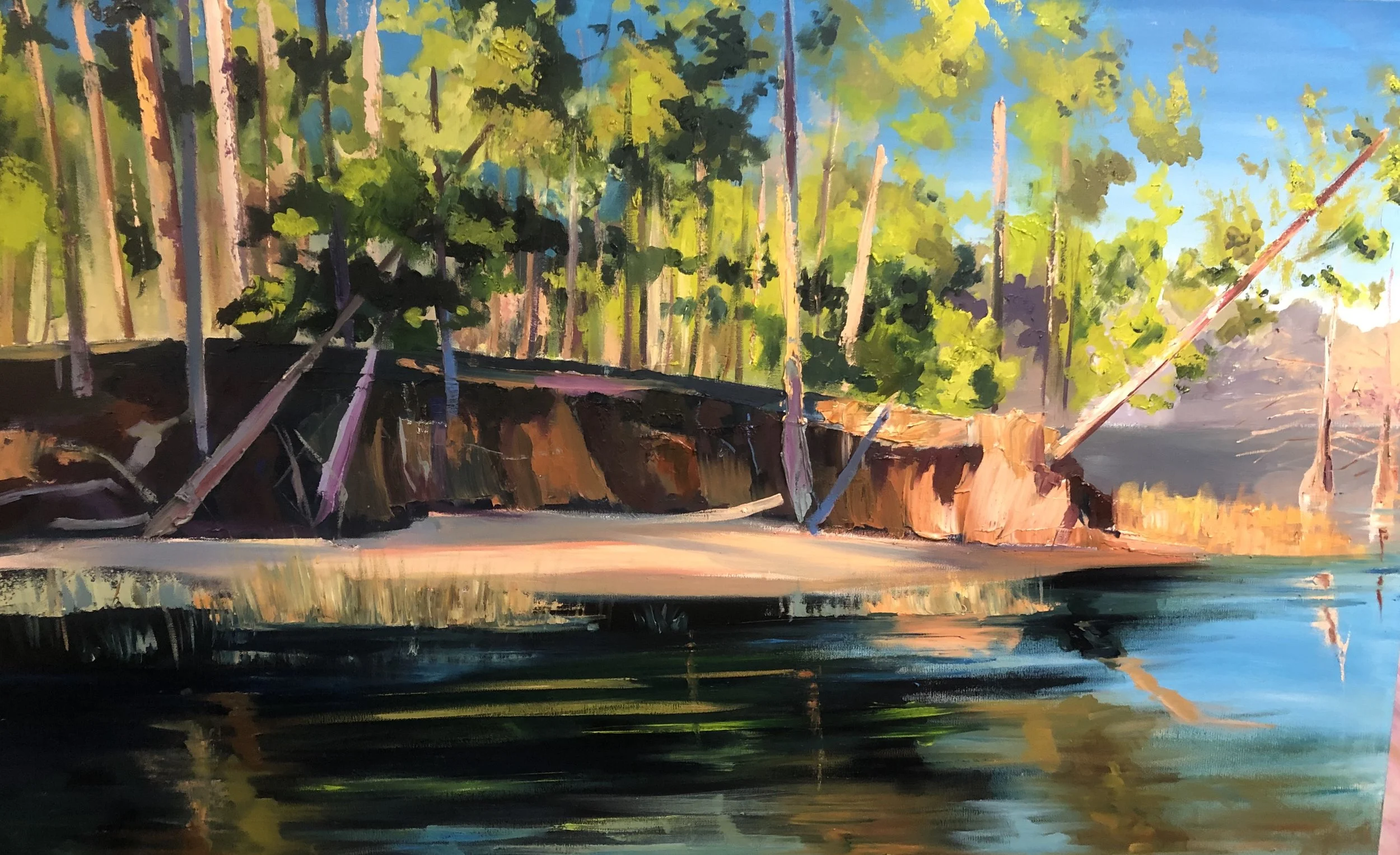 Toledo Bend Series 1 - 48" x 36" - SOLD