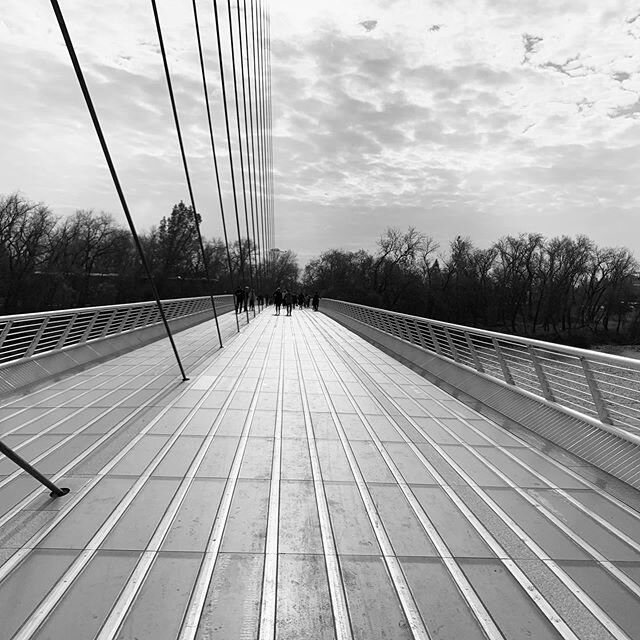 Bridge crossing at the Sundial Bridge. A master of structural engineering with the eye of a sculptor, the architect #santiagocalatrava assumes striking forms with his work; often anthropomorphic or inspired by nature, the elegant shapes he creates ex