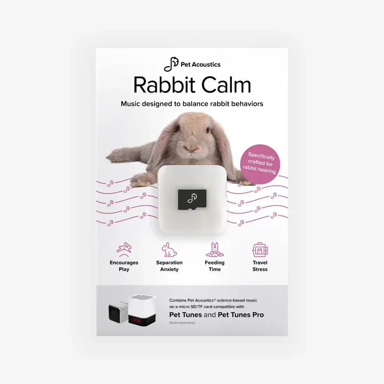 pet-acoustics-rabbit-calm.webp