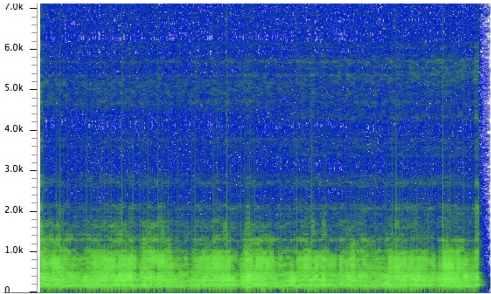 Picture of Purrs and Questions — Pet Acoustics