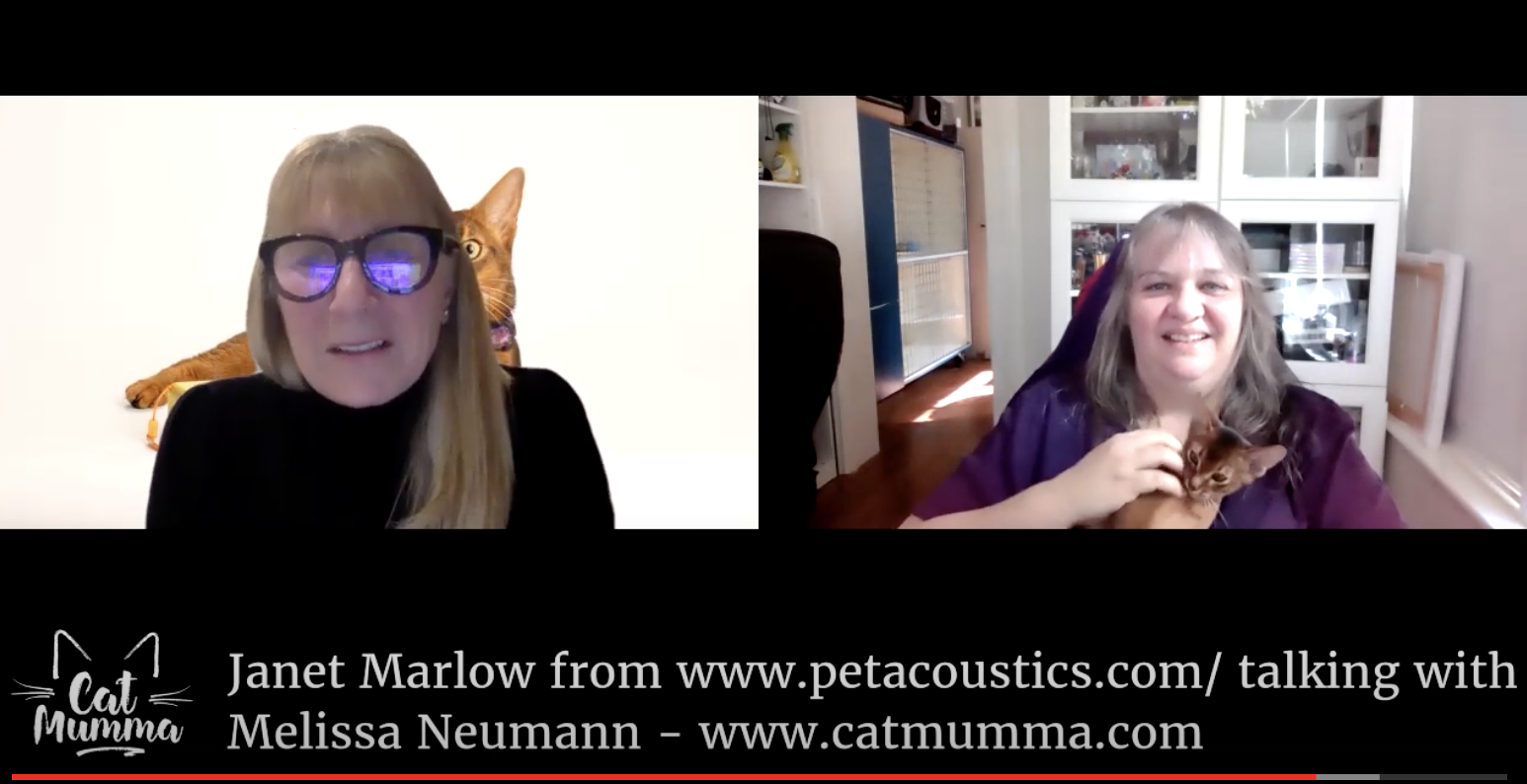 screenshot of interview with Melissa Neumann.png