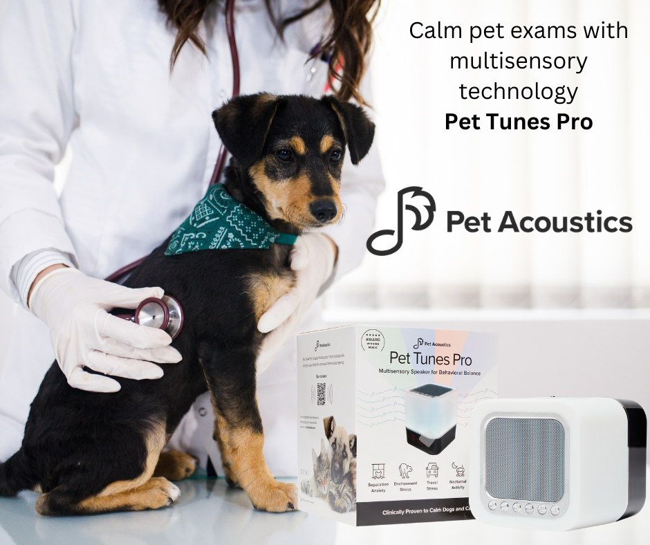 Calm Exams with our new pet care technology Pet Tunes Pro.png