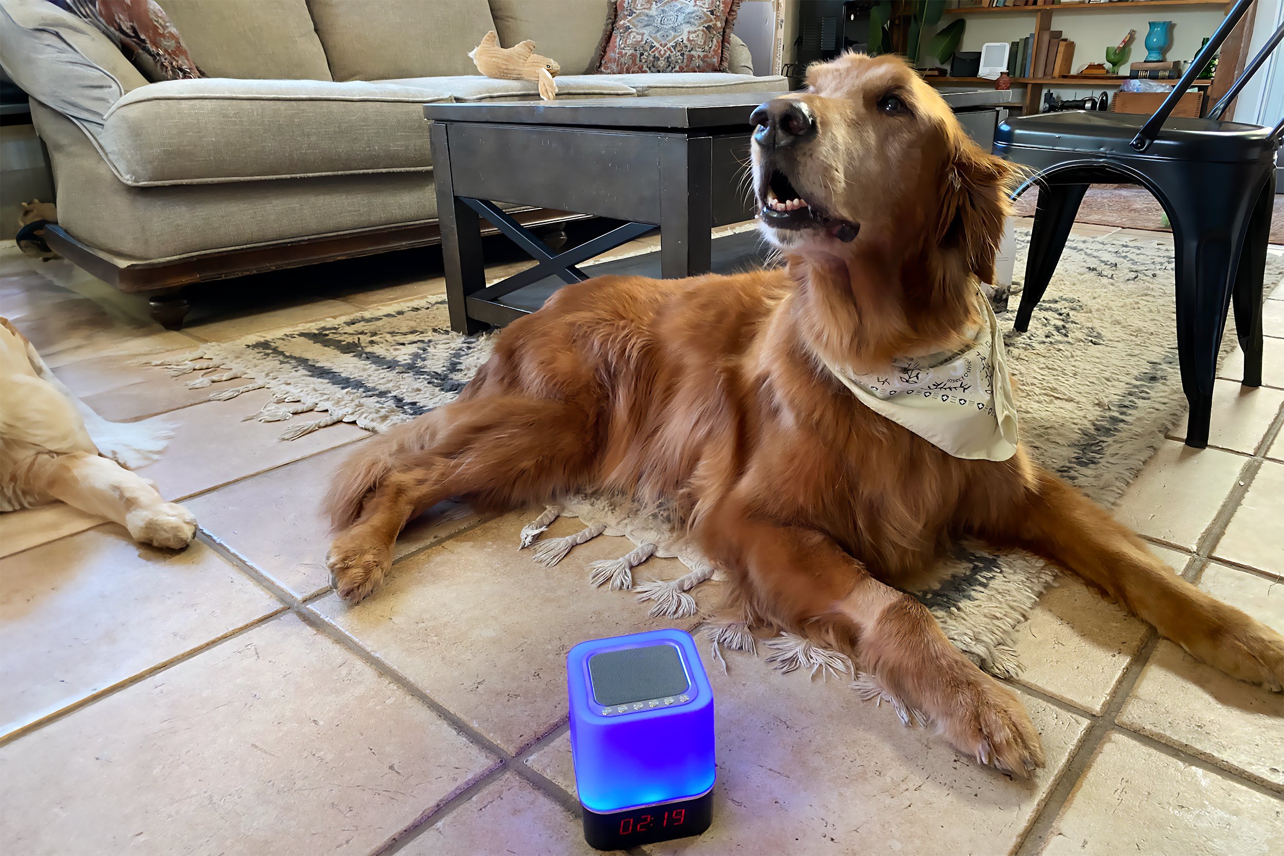 dog-calming-music-pet-tunes-pro-3.jpg