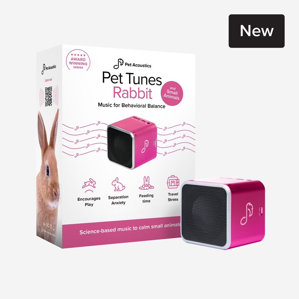 Pet Tunes Rabbit and Small Animals