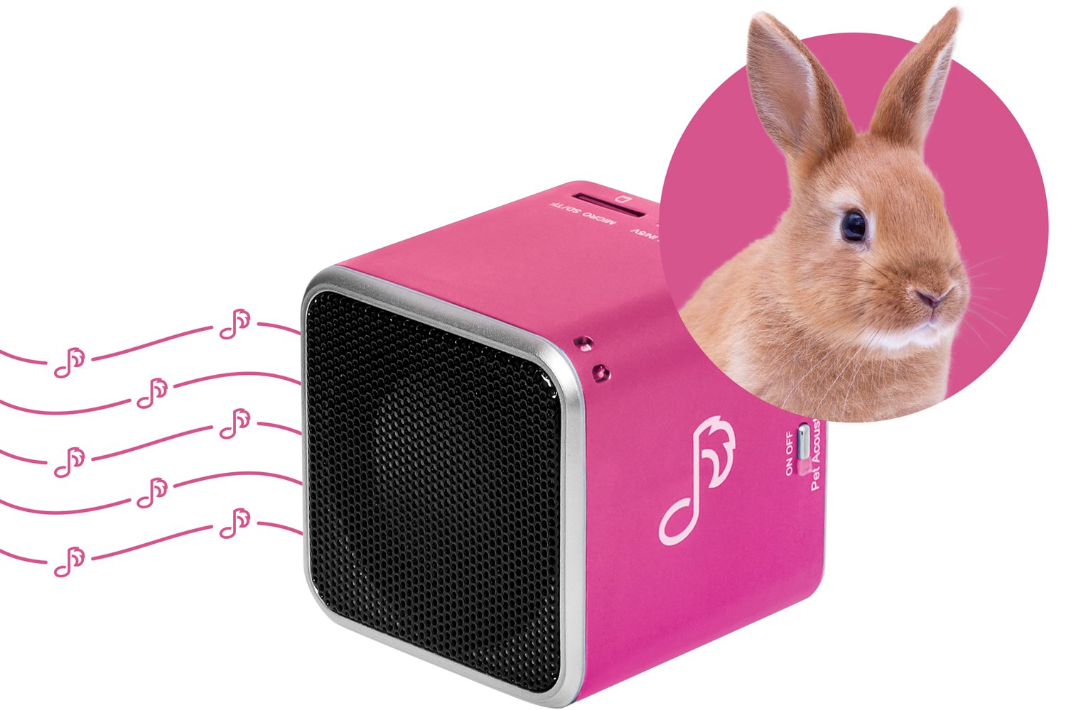 pet-tunes-music-for-rabbits-and-small-animals.jpg