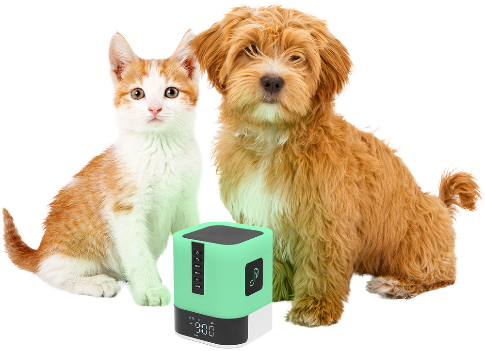 Pet Tunes Pro | Multi-Sensory Music for Dogs and Cats — Pet Acoustics