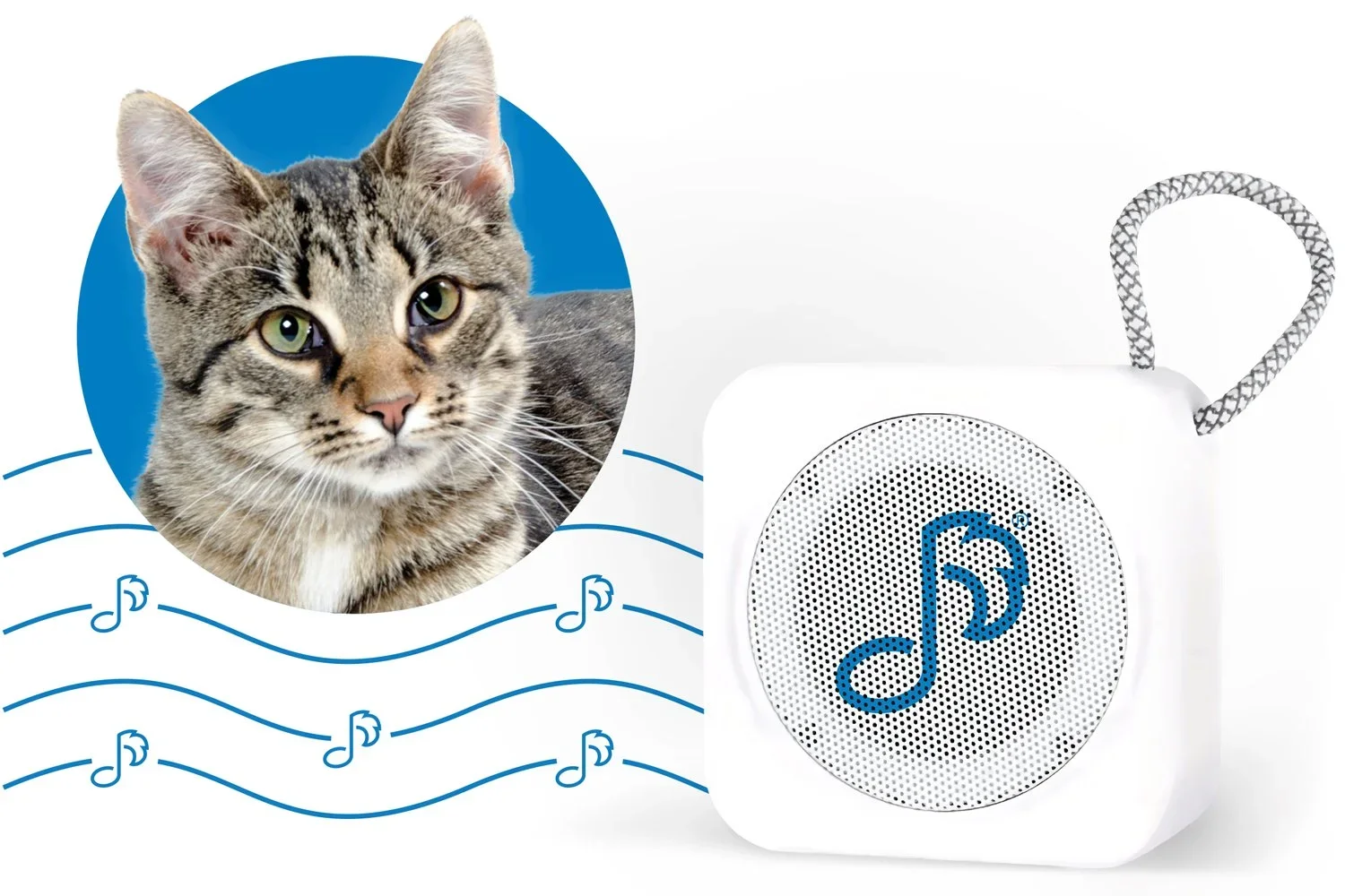hero-pet-acoustics-speaker-feline.webp