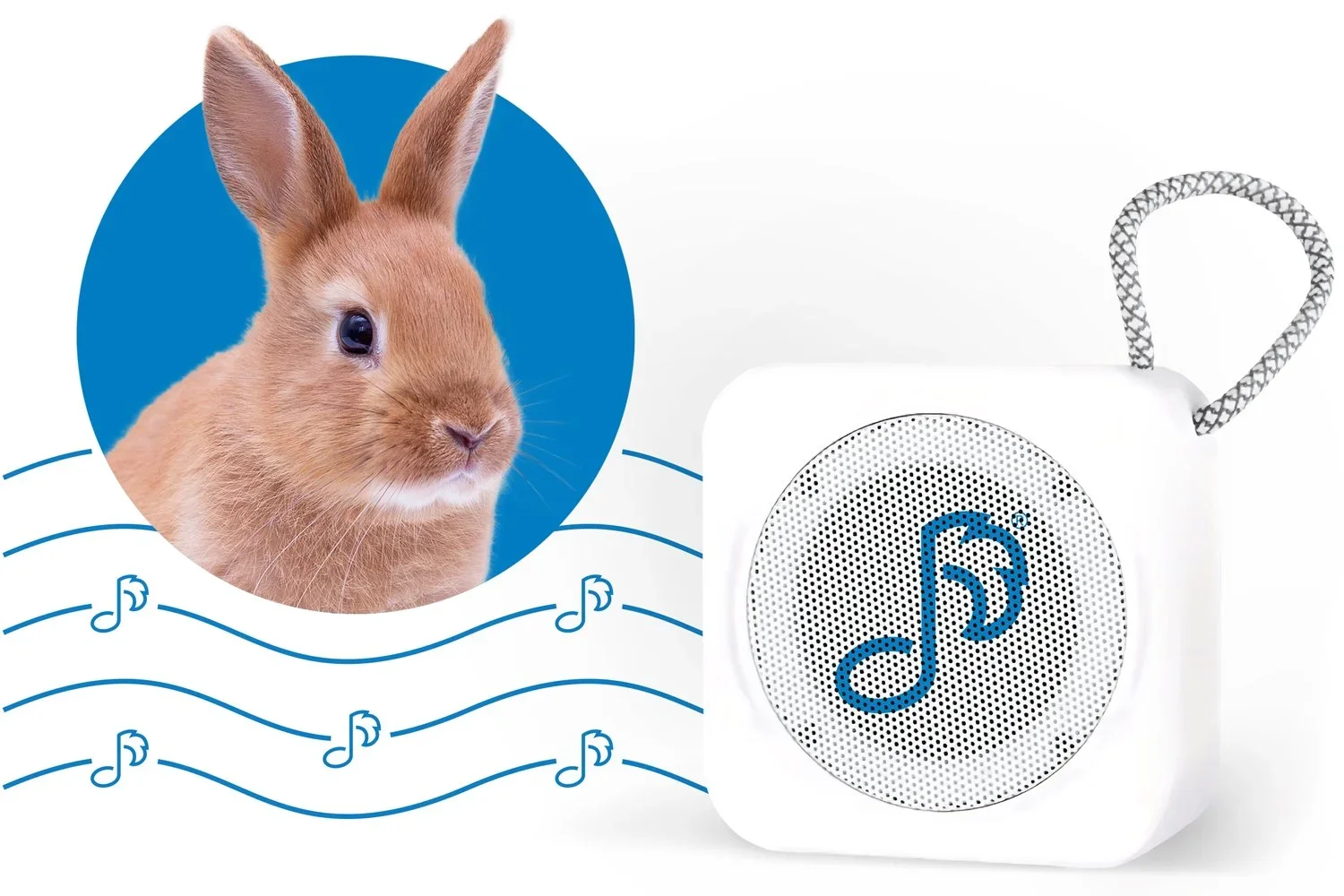 hero-pet-acoustics-speaker-rabbit 9.33.04 AM.webp