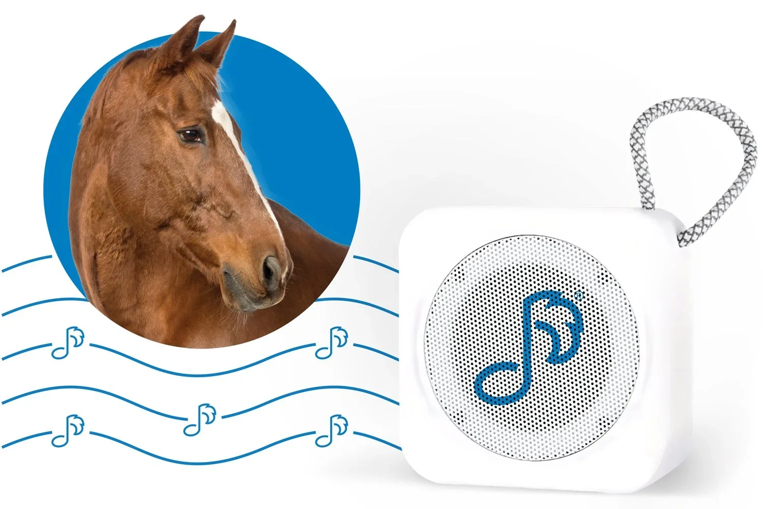 hero-pet-acoustics-speaker-equine.webp