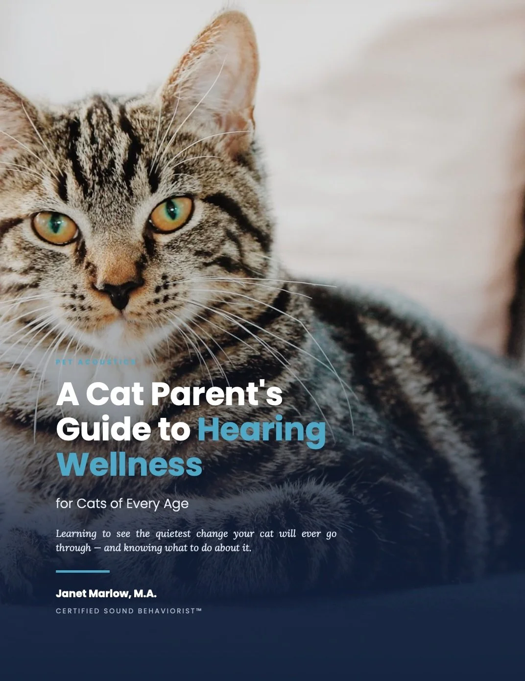 Pet Parent Guide- Cats.jpg