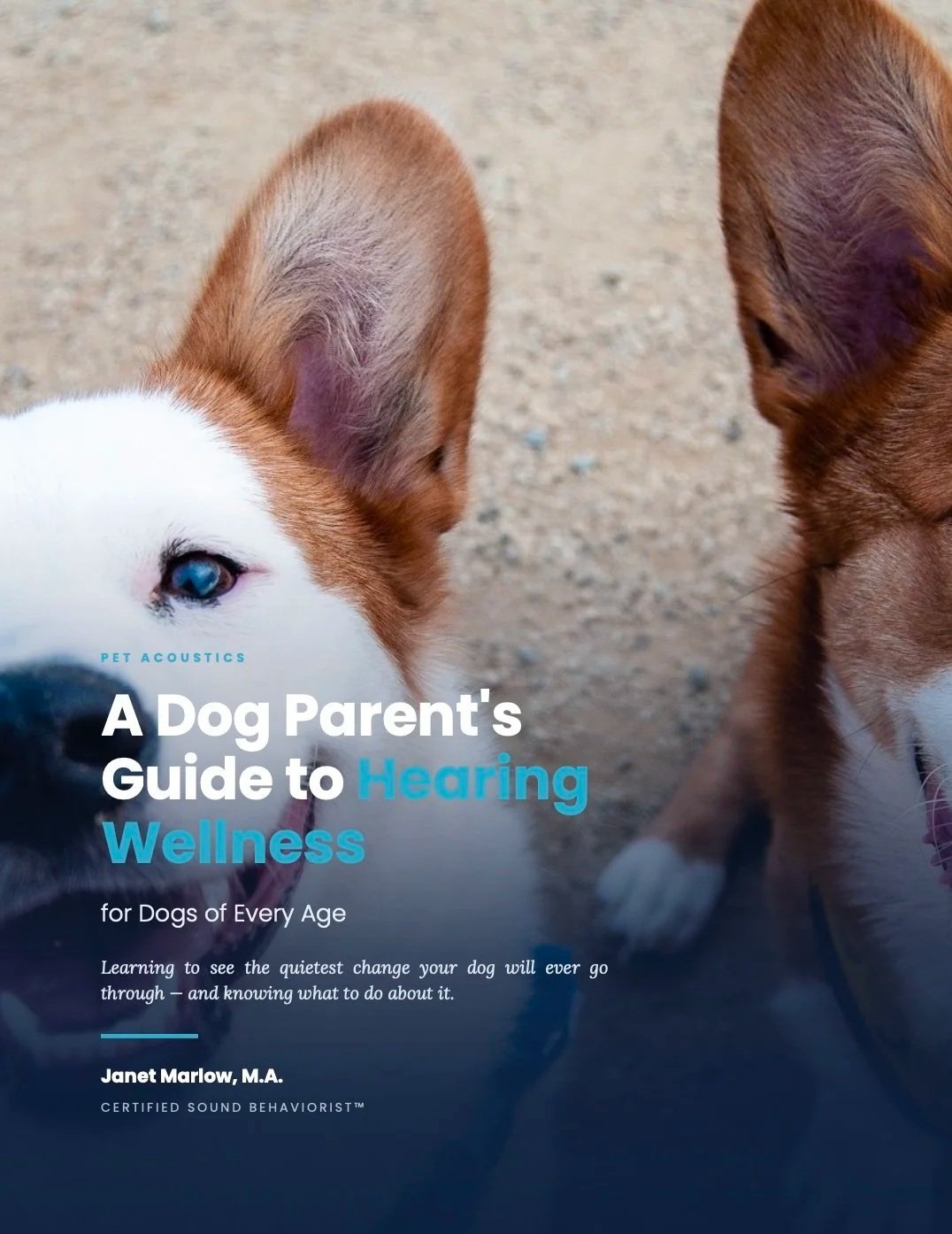 Pet+Parent+Guide+-Dogs.jpg