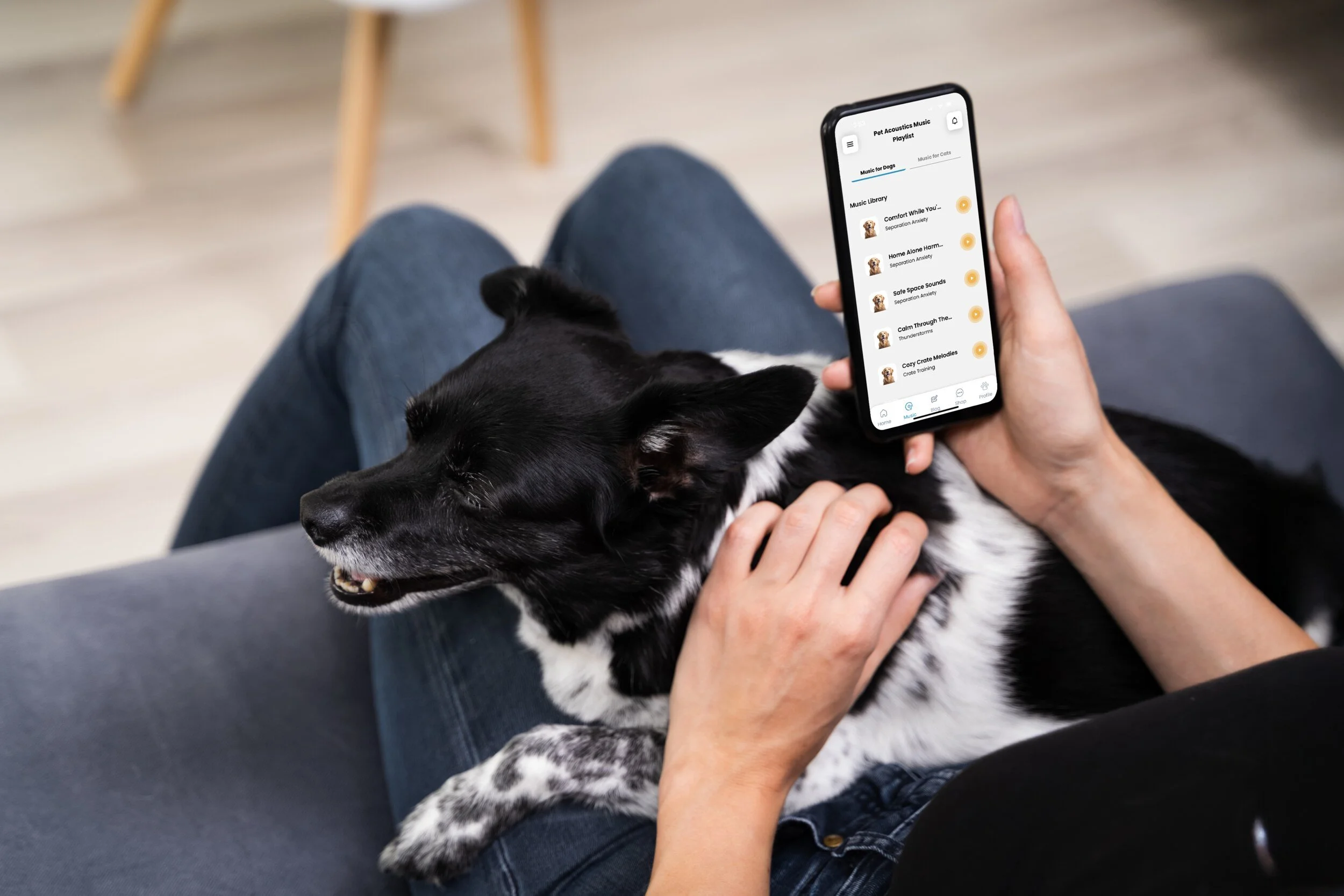 PetAcoustics-dog-calm.jpg