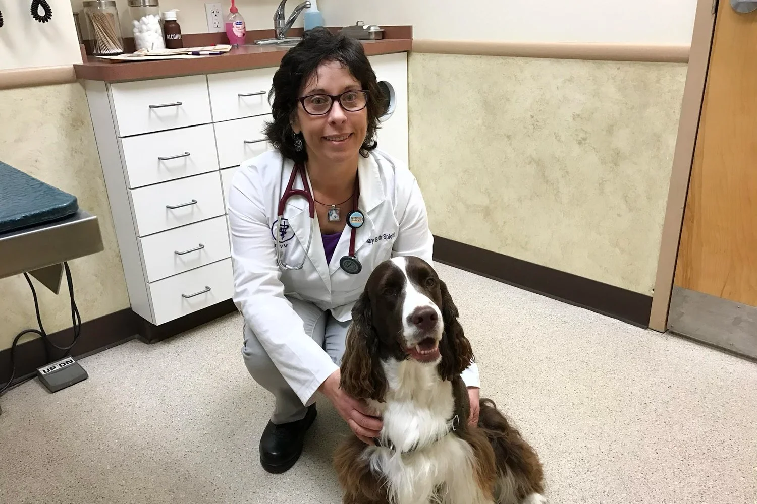 pet-acoustics-veterinary-litchfield-3.jpg