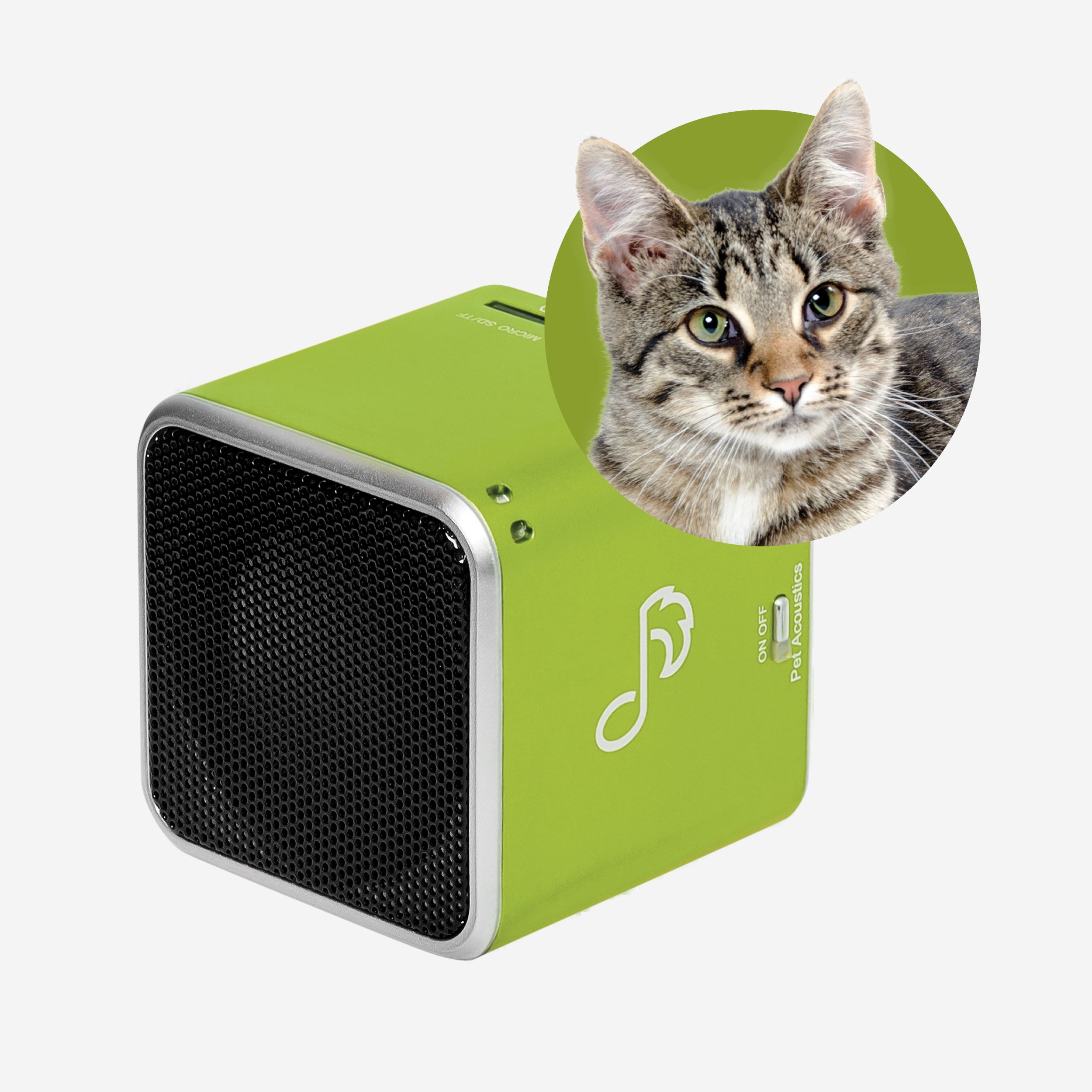 pet-tunes-feline-calm-cats.jpg