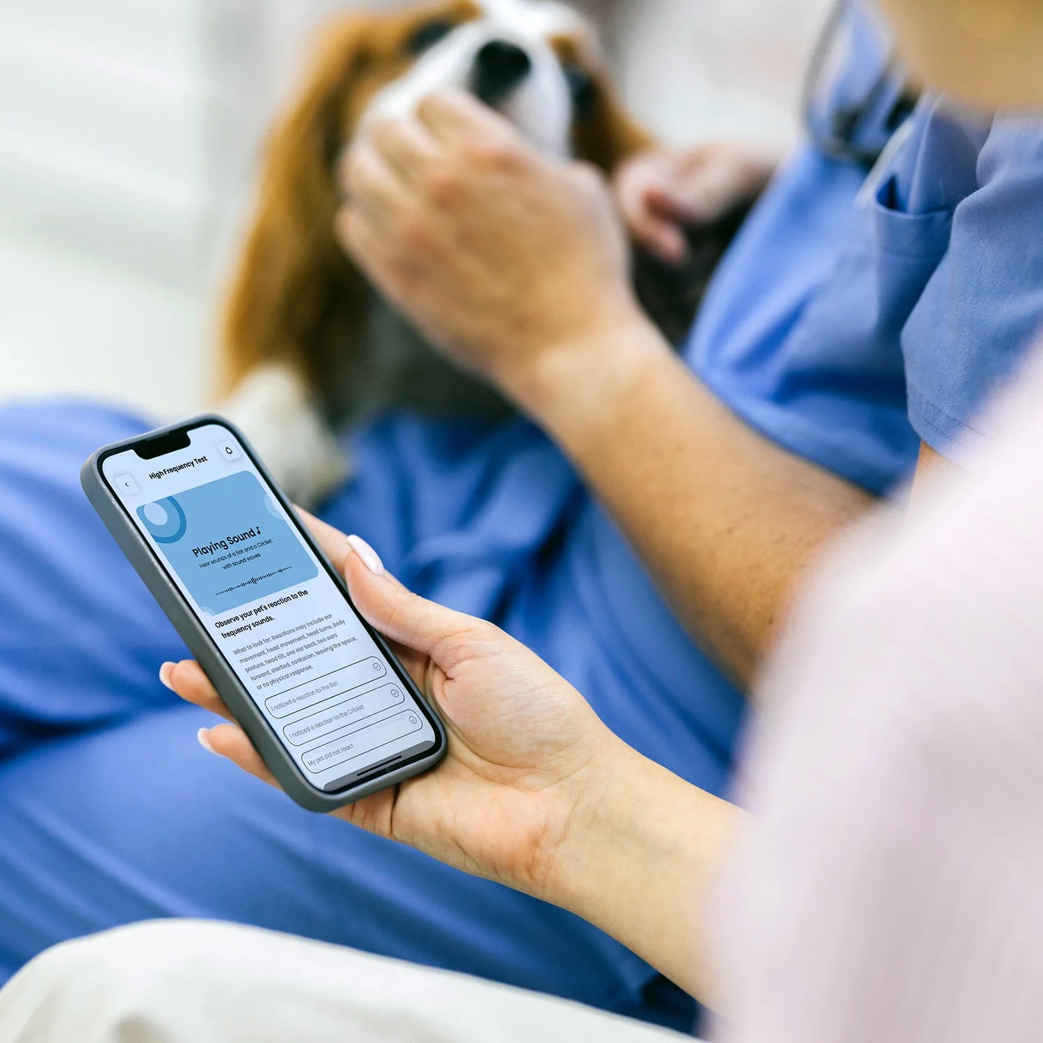 pet-acoustics-app-veterinarian.jpg