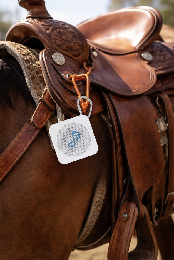 Horse saddle speaker.png