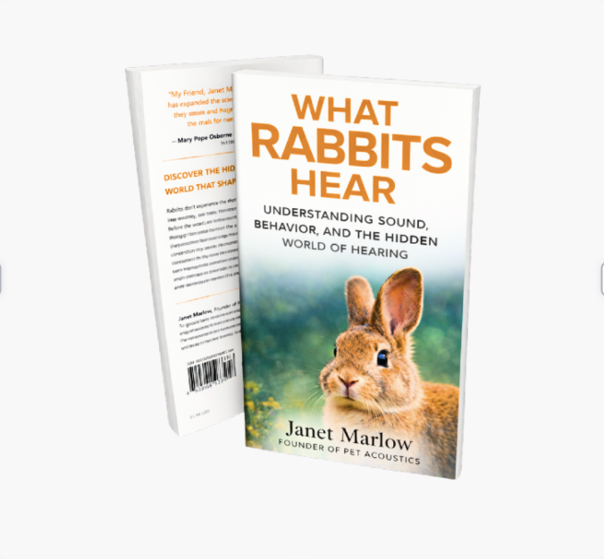 What Rabbits Hear: Understanding Sound, Behavior, and the Hidden World of Hearing
