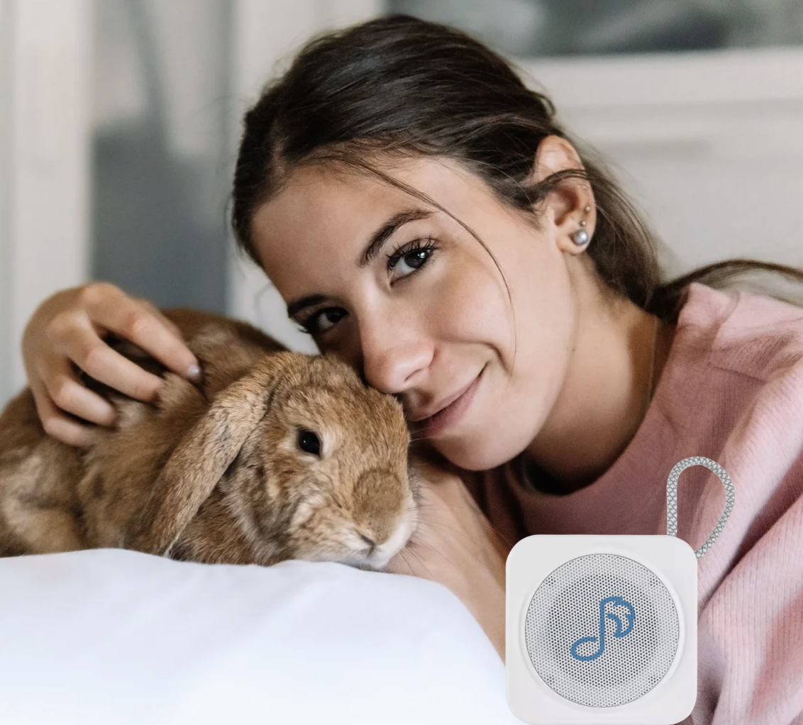 Rabbit and white speaker sq.png