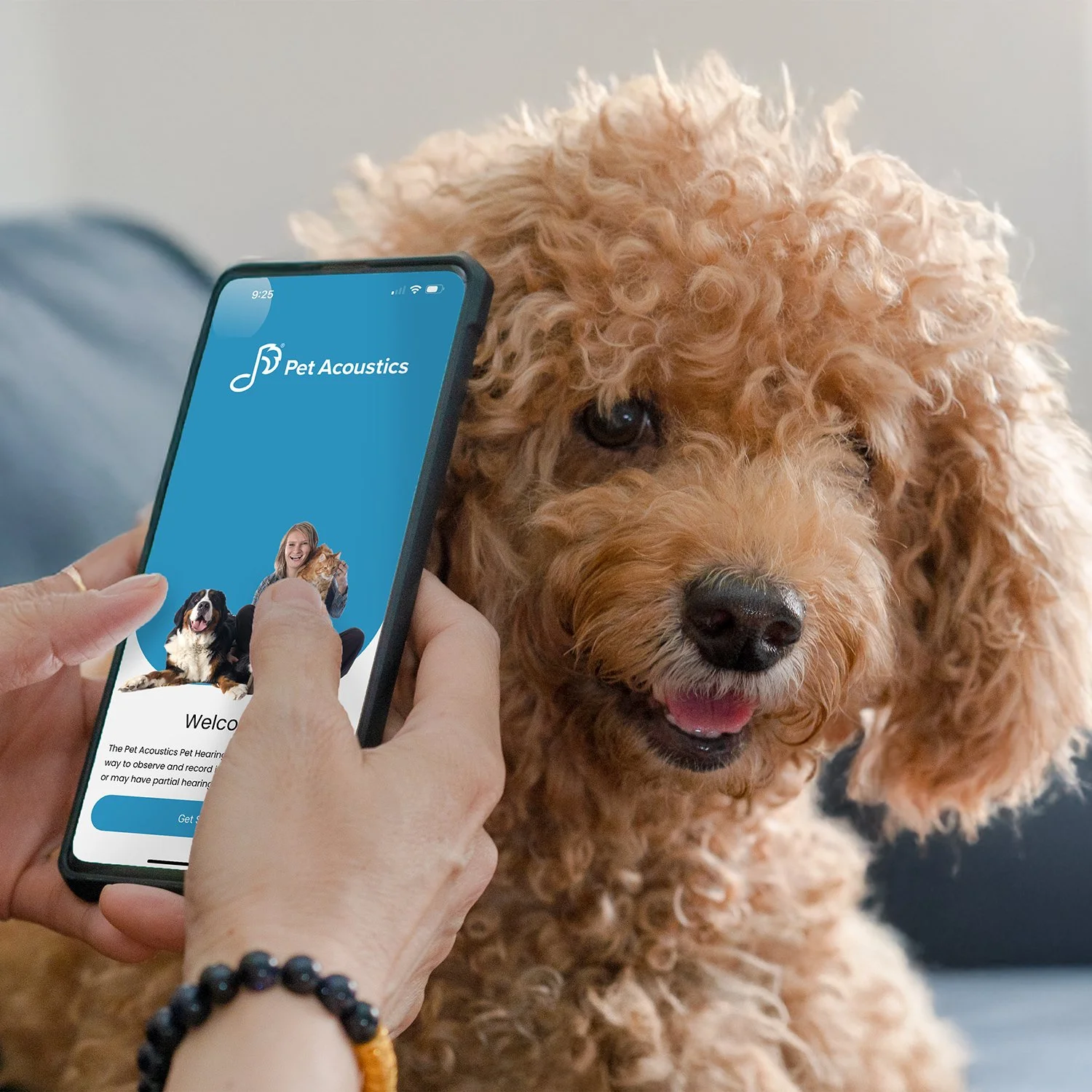 pet-acoustics-app-ios-android.jpg