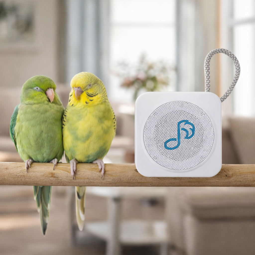 Birds 1 white speaker .png