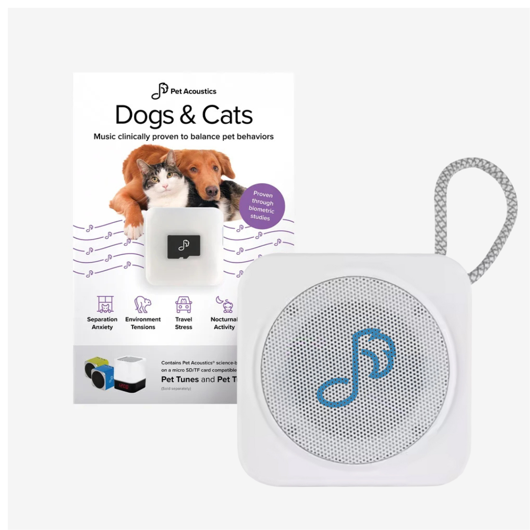 _Bundle (Facebook Video).png