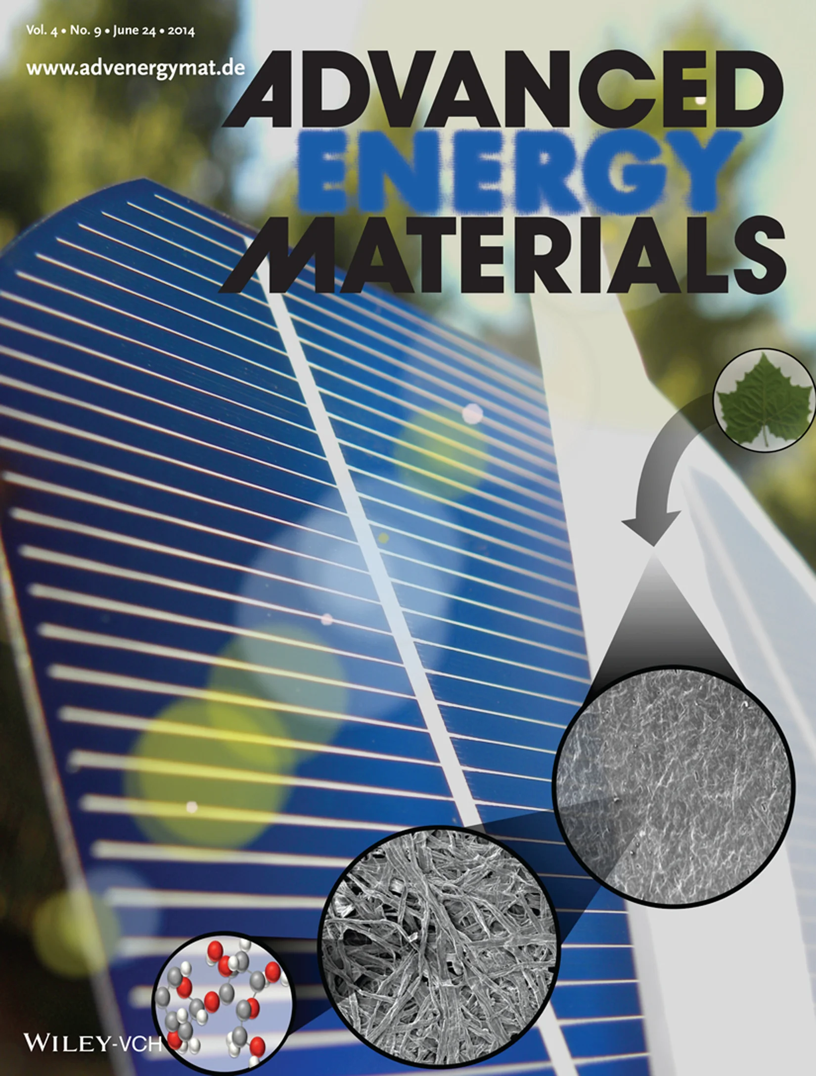 2014_Cover_AdvEngMat.jpg