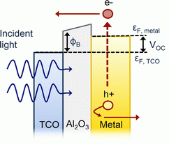 Angle-Independent Hot Carrier Generation and Collection Using Transparent Conducting Oxides