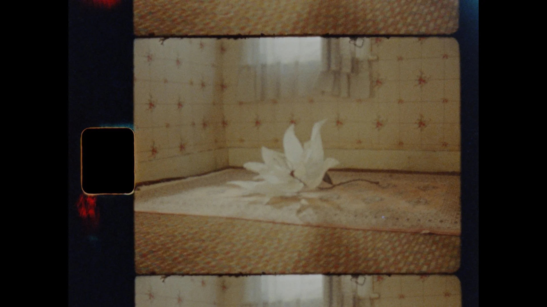 Still 2026-02-07 185907_1.21.2.jpg