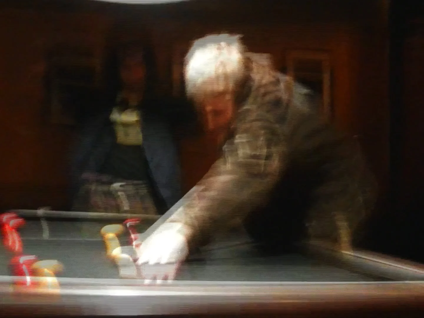 Still 2026-02-04 153958_1.38.1.jpg