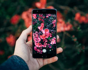 Why do I need social media and a website?