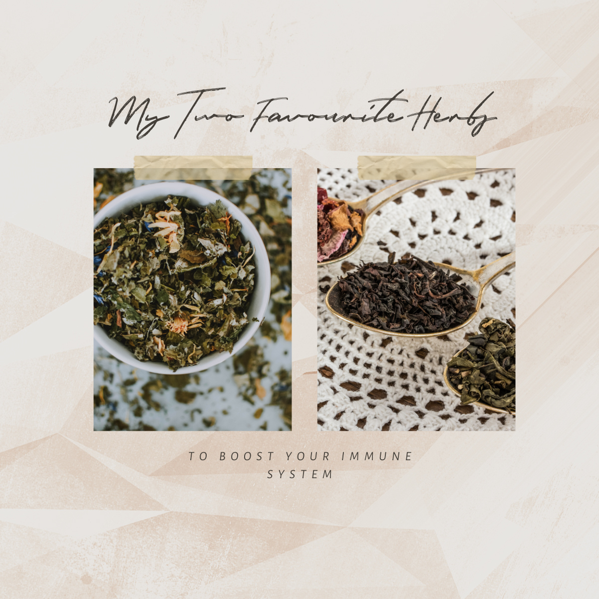 Instagram and Facebook Canva Social Media Templates for Health Practitioners